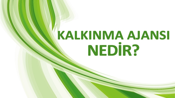 Kalkınma Ajansı Nedir?